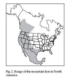 american cougar range